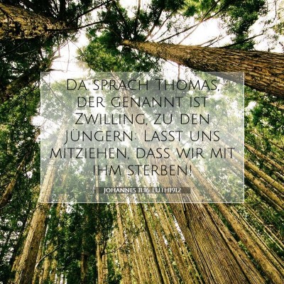 Picture 07 - Johannes 11:16 LUTH1912 - Da sprach Thomas, der genannt ist Zwilling, zu - Bible Verse Picture