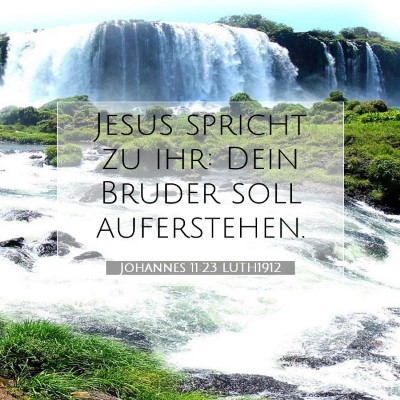 Picture 07 - Johannes 11:23 LUTH1912 - Jesus spricht zu ihr: Dein Bruder soll - Bible Verse Picture