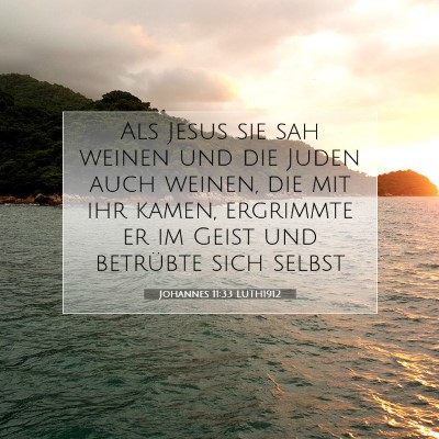 Picture 07 - Johannes 11:33 LUTH1912 - Als Jesus sie sah weinen und die Juden auch - Bible Verse Picture