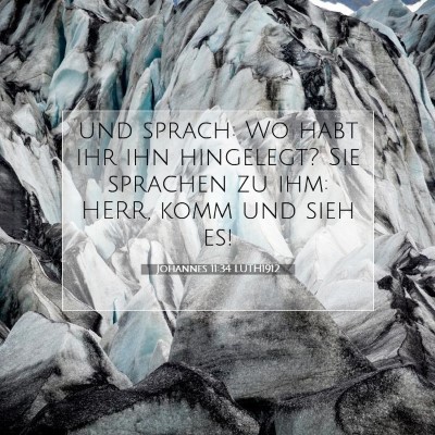 Picture 07 - Johannes 11:34 LUTH1912 - und sprach: Wo habt ihr ihn hingelegt? Sie - Bible Verse Picture