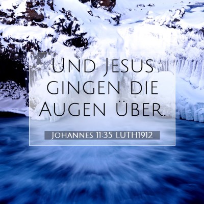 Picture 07 - Johannes 11:35 LUTH1912 - Und Jesus gingen die Augen - Bible Verse Picture