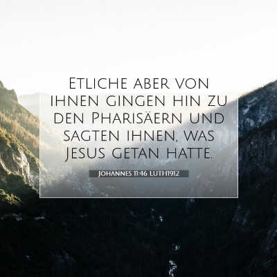 Picture 07 - Johannes 11:46 LUTH1912 - Etliche aber von ihnen gingen hin zu den - Bible Verse Picture
