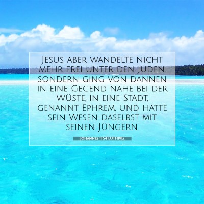 Picture 07 - Johannes 11:54 LUTH1912 - Jesus aber wandelte nicht mehr frei unter den - Bible Verse Picture