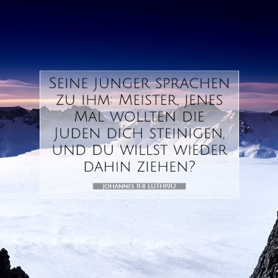 Picture 07 - Johannes 11:8 LUTH1912 - Seine Jünger sprachen zu ihm: Meister, jenes Mal - Bible Verse Picture