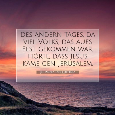 Picture 07 - Johannes 12:12 LUTH1912 - Des andern Tages, da viel Volks, das aufs Fest - Bible Verse Picture