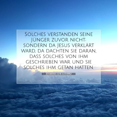 Picture 07 - Johannes 12:16 LUTH1912 - Solches verstanden seine Jünger zuvor nicht; - Bible Verse Picture