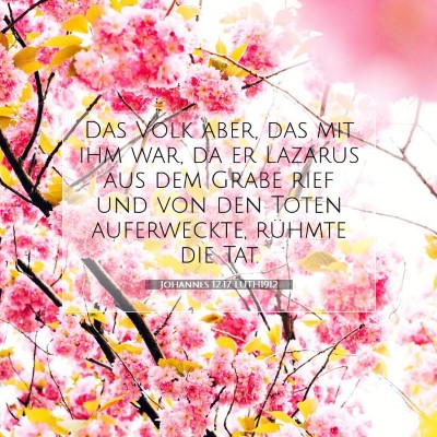 Picture 07 - Johannes 12:17 LUTH1912 - Das Volk aber, das mit ihm war, da er Lazarus aus - Bible Verse Picture