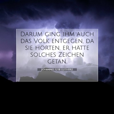 Picture 07 - Johannes 12:18 LUTH1912 - Darum ging ihm auch das Volk entgegen, da sie - Bible Verse Picture