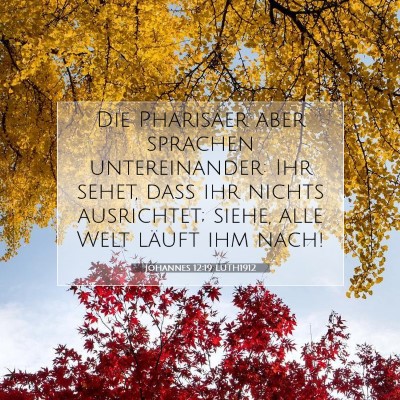 Picture 07 - Johannes 12:19 LUTH1912 - Die Pharisäer aber sprachen untereinander: Ihr - Bible Verse Picture