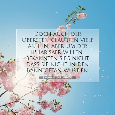 Picture 07 - Johannes 12:42 LUTH1912 - Doch auch der Obersten glaubten viele an ihn; - Bible Verse Picture