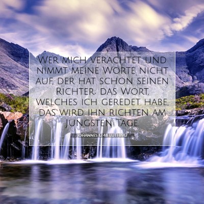 Picture 07 - Johannes 12:48 LUTH1912 - Wer mich verachtet und nimmt meine Worte nicht - Bible Verse Picture