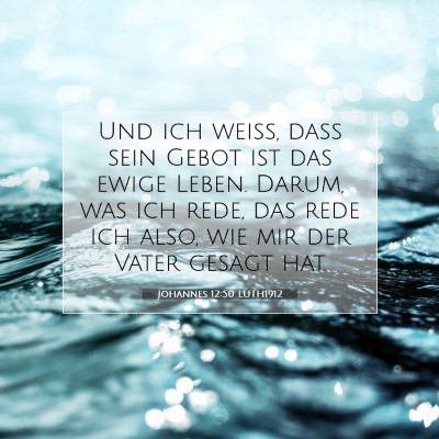 Picture 07 - Johannes 12:50 LUTH1912 - Und ich weiß, daß sein Gebot ist das ewige - Bible Verse Picture