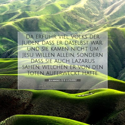 Picture 07 - Johannes 12:9 LUTH1912 - Da erfuhr viel Volks der Juden, daß er daselbst - Bible Verse Picture