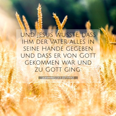 Picture 07 - Johannes 13:3 LUTH1912 - und Jesus wußte, daß ihm der Vater alles in - Bible Verse Picture