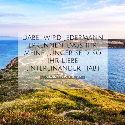 Picture 07 - Johannes 13:35 LUTH1912 - Dabei wird jedermann erkennen, daß ihr meine - Bible Verse Picture