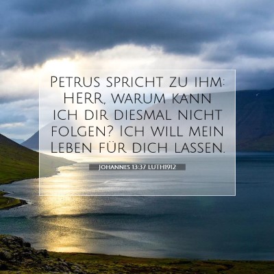 Picture 07 - Johannes 13:37 LUTH1912 - Petrus spricht zu ihm: HERR, warum kann ich dir - Bible Verse Picture