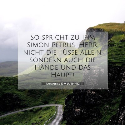 Picture 07 - Johannes 13:9 LUTH1912 - So spricht zu ihm Simon Petrus: HERR, nicht die - Bible Verse Picture