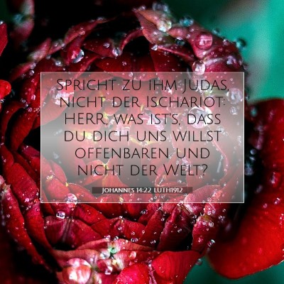 Picture 07 - Johannes 14:22 LUTH1912 - Spricht zu ihm Judas, nicht der Ischariot: HERR, - Bible Verse Picture