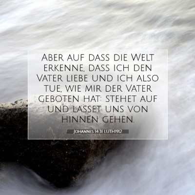 Picture 07 - Johannes 14:31 LUTH1912 - Aber auf daß die Welt erkenne, daß ich den - Bible Verse Picture
