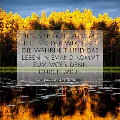 Picture 07 - Johannes 14:6 LUTH1912 - Jesus spricht zu ihm: Ich bin der Weg und die - Bible Verse Picture