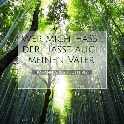 Picture 07 - Johannes 15:23 LUTH1912 - Wer mich haßt, der haßt auch meinen - Bible Verse Picture