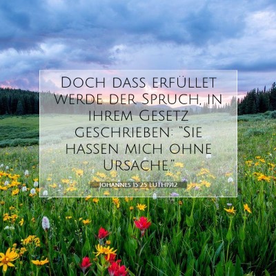 Picture 07 - Johannes 15:25 LUTH1912 - Doch daß erfüllet werde der Spruch, in ihrem - Bible Verse Picture