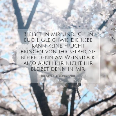Picture 07 - Johannes 15:4 LUTH1912 - Bleibet in mir und ich in euch. Gleichwie die - Bible Verse Picture
