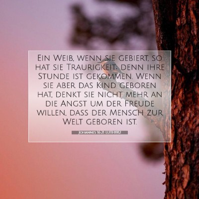 Picture 07 - Johannes 16:21 LUTH1912 - Ein Weib, wenn sie gebiert, so hat sie - Bible Verse Picture