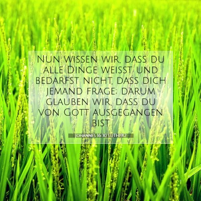 Picture 07 - Johannes 16:30 LUTH1912 - Nun wissen wir, daß du alle Dinge weißt und - Bible Verse Picture