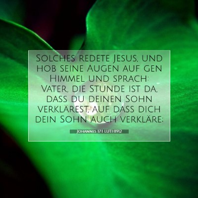 Picture 07 - Johannes 17:1 LUTH1912 - Solches redete Jesus, und hob seine Augen auf gen - Bible Verse Picture