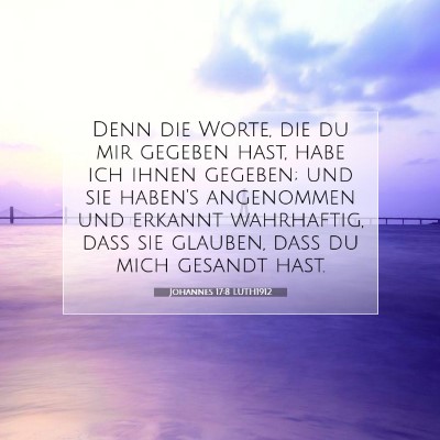 Picture 07 - Johannes 17:8 LUTH1912 - Denn die Worte, die du mir gegeben hast, habe ich - Bible Verse Picture