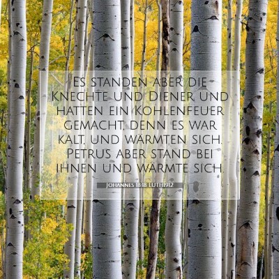 Picture 07 - Johannes 18:18 LUTH1912 - Es standen aber die Knechte und Diener und hatten - Bible Verse Picture