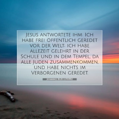 Picture 07 - Johannes 18:20 LUTH1912 - Jesus antwortete ihm: Ich habe frei öffentlich - Bible Verse Picture