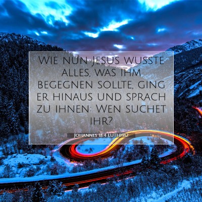 Picture 07 - Johannes 18:4 LUTH1912 - Wie nun Jesus wußte alles, was ihm begegnen - Bible Verse Picture