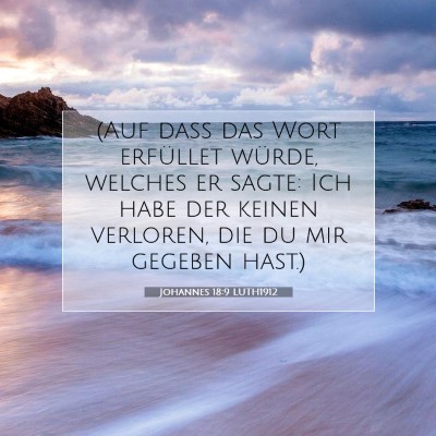 Picture 07 - Johannes 18:9 LUTH1912 - (Auf daß das Wort erfüllet würde, welches er - Bible Verse Picture