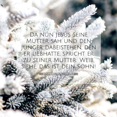Picture 07 - Johannes 19:26 LUTH1912 - Da nun Jesus seine Mutter sah und den Jünger - Bible Verse Picture