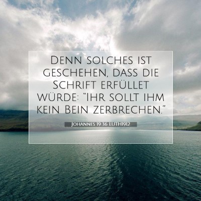 Picture 07 - Johannes 19:36 LUTH1912 - Denn solches ist geschehen, daß die Schrift - Bible Verse Picture