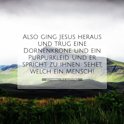 Picture 07 - Johannes 19:5 LUTH1912 - Also ging Jesus heraus und trug eine Dornenkrone - Bible Verse Picture