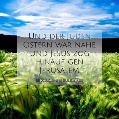 Picture 07 - Johannes 2:13 LUTH1912 - Und der Juden Ostern war nahe, und Jesus zog - Bible Verse Picture