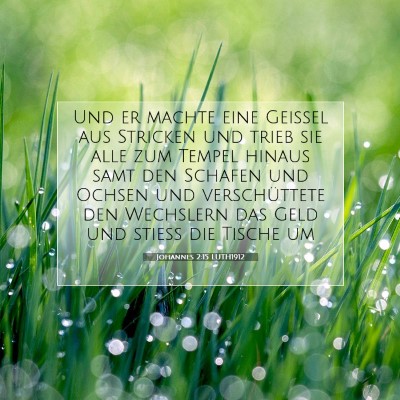 Picture 07 - Johannes 2:15 LUTH1912 - Und er machte eine Geißel aus Stricken und trieb - Bible Verse Picture