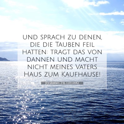 Picture 07 - Johannes 2:16 LUTH1912 - und sprach zu denen, die die Tauben feil hatten: - Bible Verse Picture