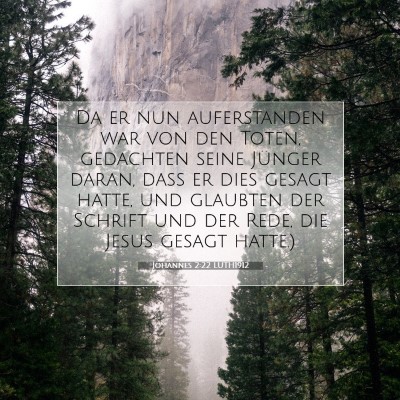 Picture 07 - Johannes 2:22 LUTH1912 - Da er nun auferstanden war von den Toten, - Bible Verse Picture