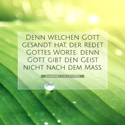 Picture 07 - Johannes 3:34 LUTH1912 - Denn welchen Gott gesandt hat, der redet Gottes - Bible Verse Picture