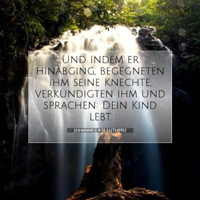 Picture 07 - Johannes 4:51 LUTH1912 - Und indem er hinabging, begegneten ihm seine - Bible Verse Picture