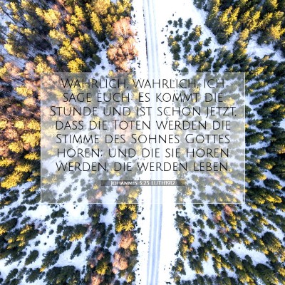 Picture 07 - Johannes 5:25 LUTH1912 - Wahrlich, wahrlich, ich sage euch: Es kommt die - Bible Verse Picture