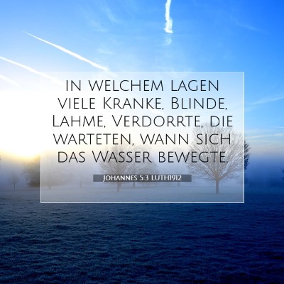 Picture 07 - Johannes 5:3 LUTH1912 - in welchem lagen viele Kranke, Blinde, Lahme, - Bible Verse Picture