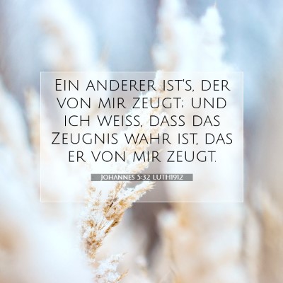 Picture 07 - Johannes 5:32 LUTH1912 - Ein anderer ist's, der von mir zeugt; und ich - Bible Verse Picture