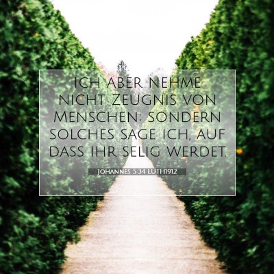 Picture 07 - Johannes 5:34 LUTH1912 - Ich aber nehme nicht Zeugnis von Menschen; - Bible Verse Picture
