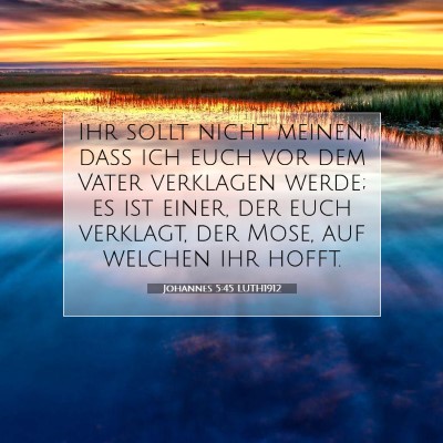 Picture 07 - Johannes 5:45 LUTH1912 - Ihr sollt nicht meinen, daß ich euch vor dem - Bible Verse Picture
