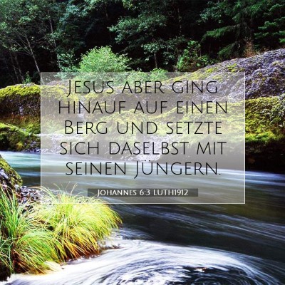 Picture 07 - Johannes 6:3 LUTH1912 - Jesus aber ging hinauf auf einen Berg und setzte - Bible Verse Picture